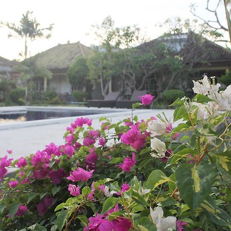 Taman Lily'S Hotel Lovina  Luaran gambar